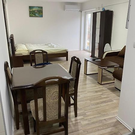 Studio Milica Soko Banja Ngoại thất bức ảnh