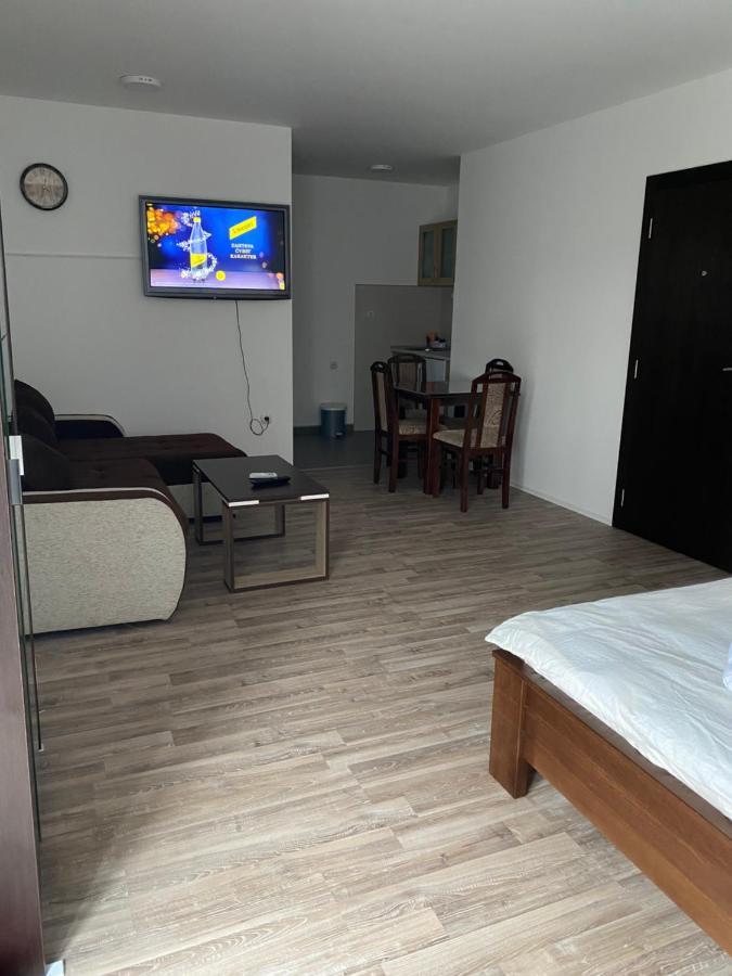 Studio Milica Soko Banja Ngoại thất bức ảnh